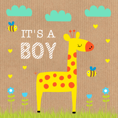 Felicitatie geboorte jongen giraffe