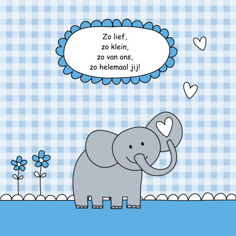 Geboortekaartje jongen olifantje